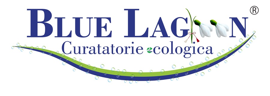 Blue Lagoon Clean Logo